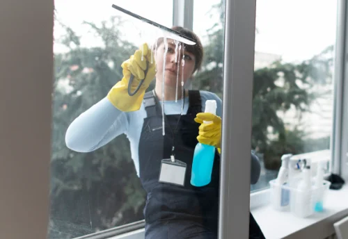 Nettoyage de vitres intérieures et extérieures à Saint Bonnet-Laval